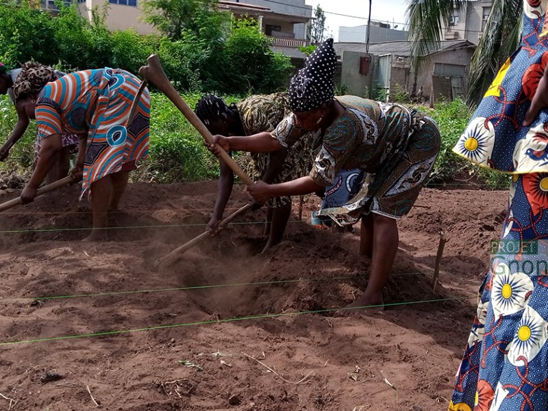 Projet Gnonnou Gléssi: les formations ont effectivement&nbsp;démarrées