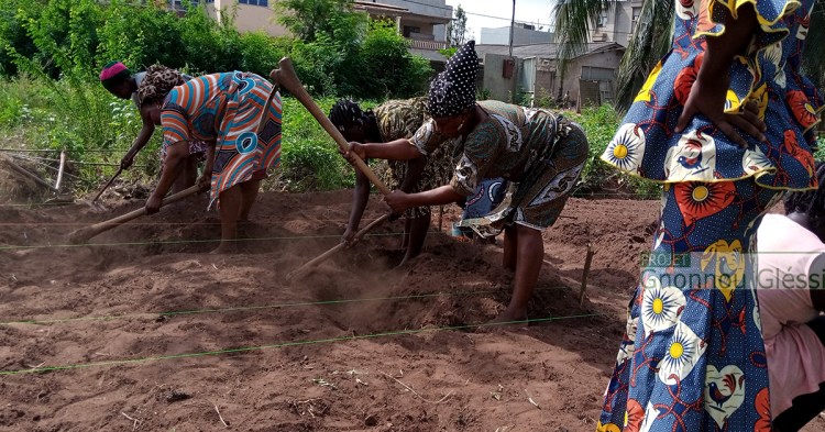 Projet Gnonnou Gléssi: les formations ont effectivement&nbsp;démarrées